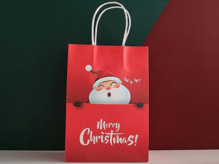 Christmas Paper Gift Bag